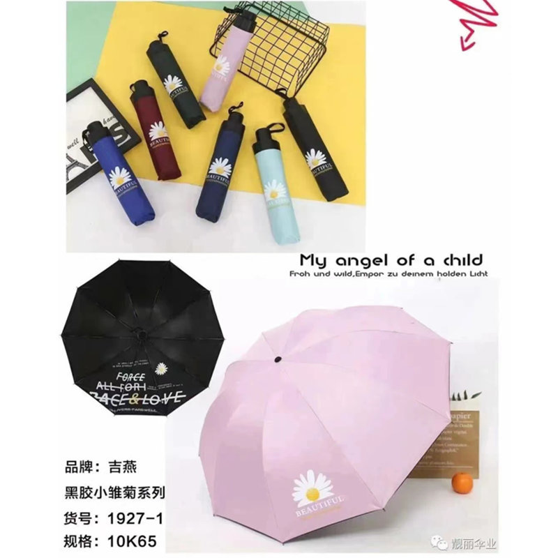 吉燕黑胶小雏菊